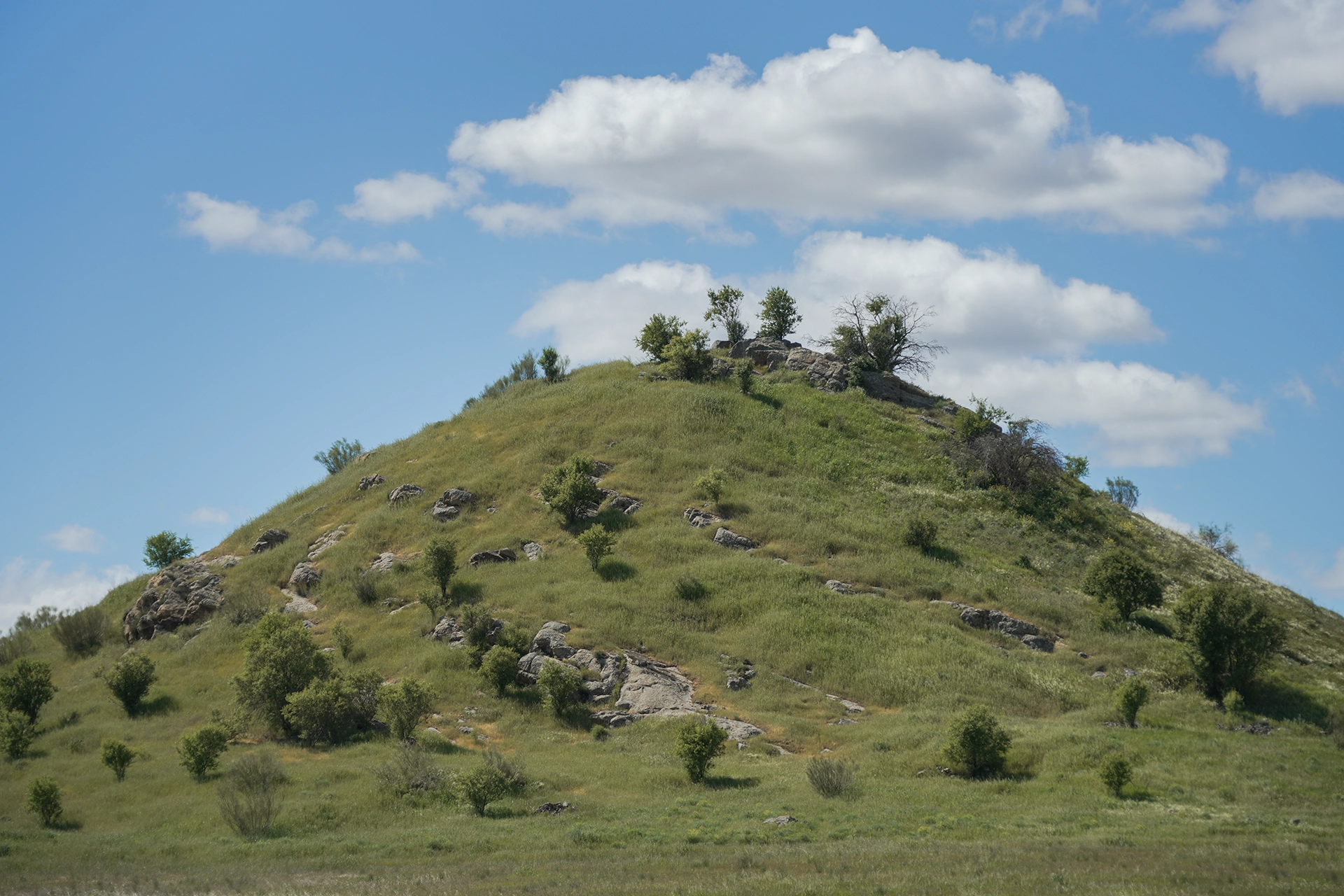 Ciudad Romana de Mellaria