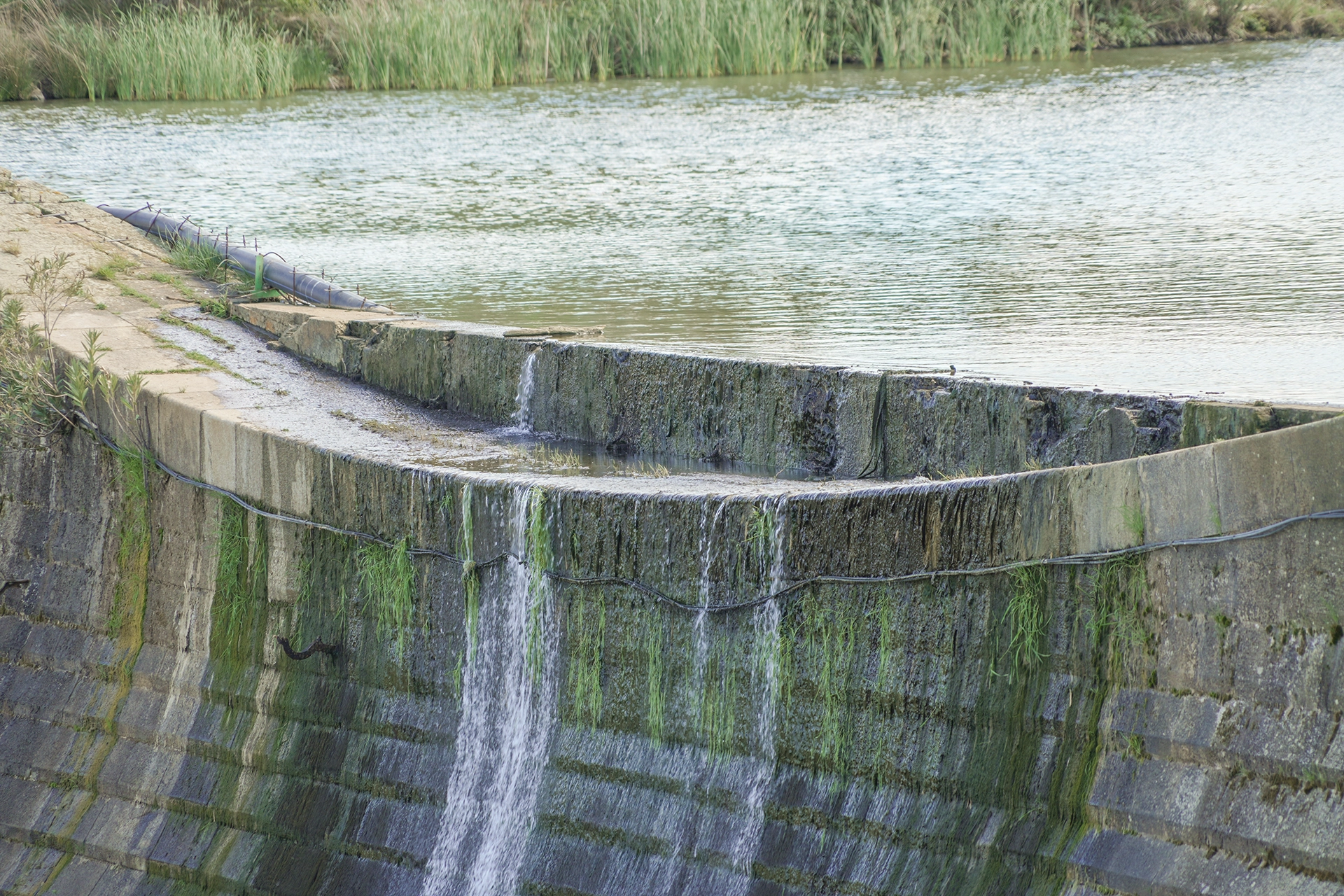 Vegetación y lámina de agua en Fuente Obejuna
