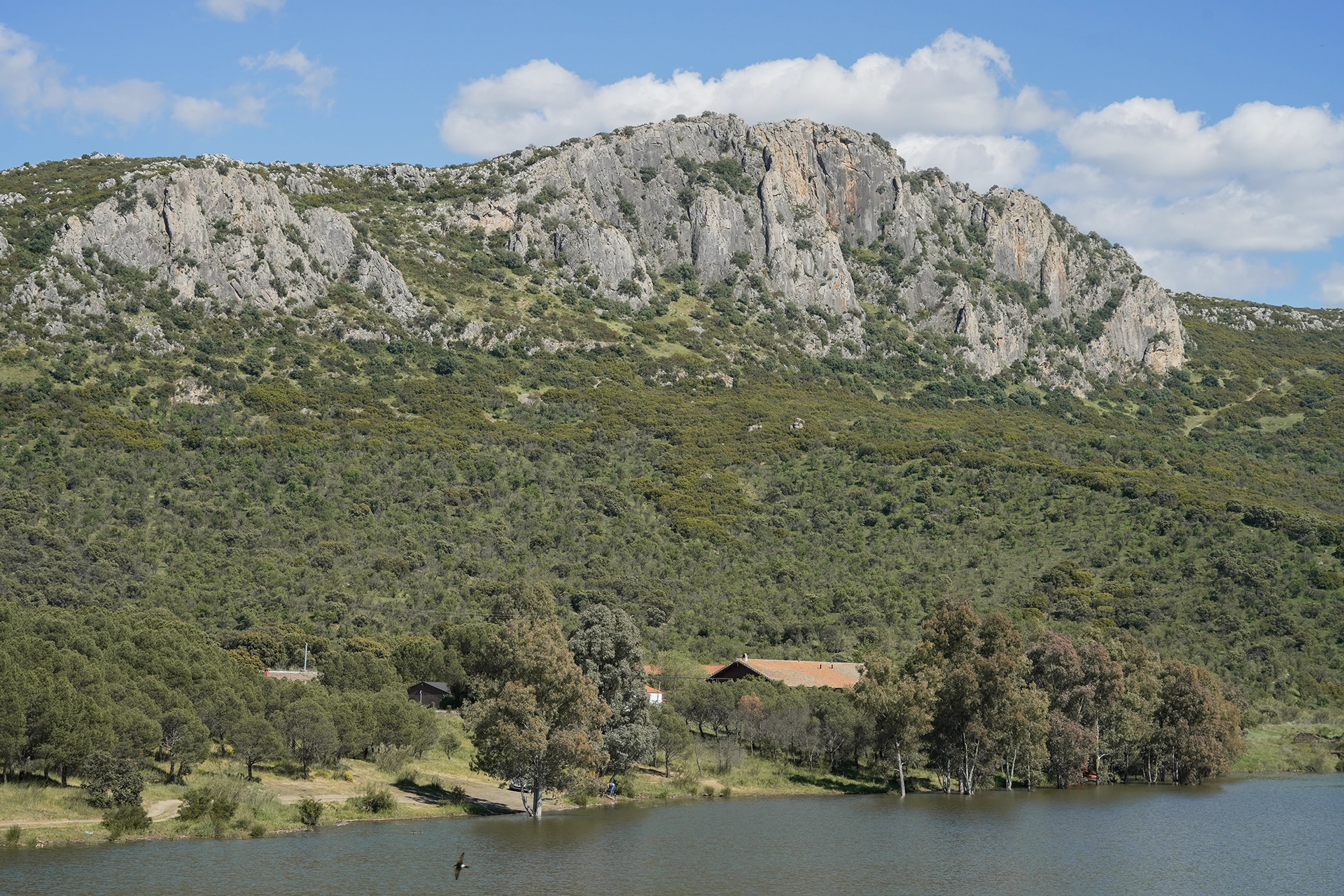 Entorno paisajístico y logístico del antiguo ferrocarril