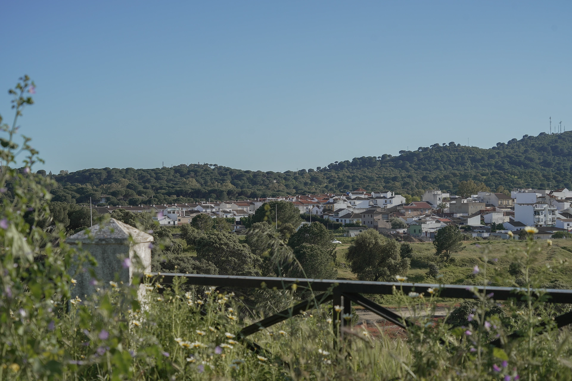 Cerro Muriano
