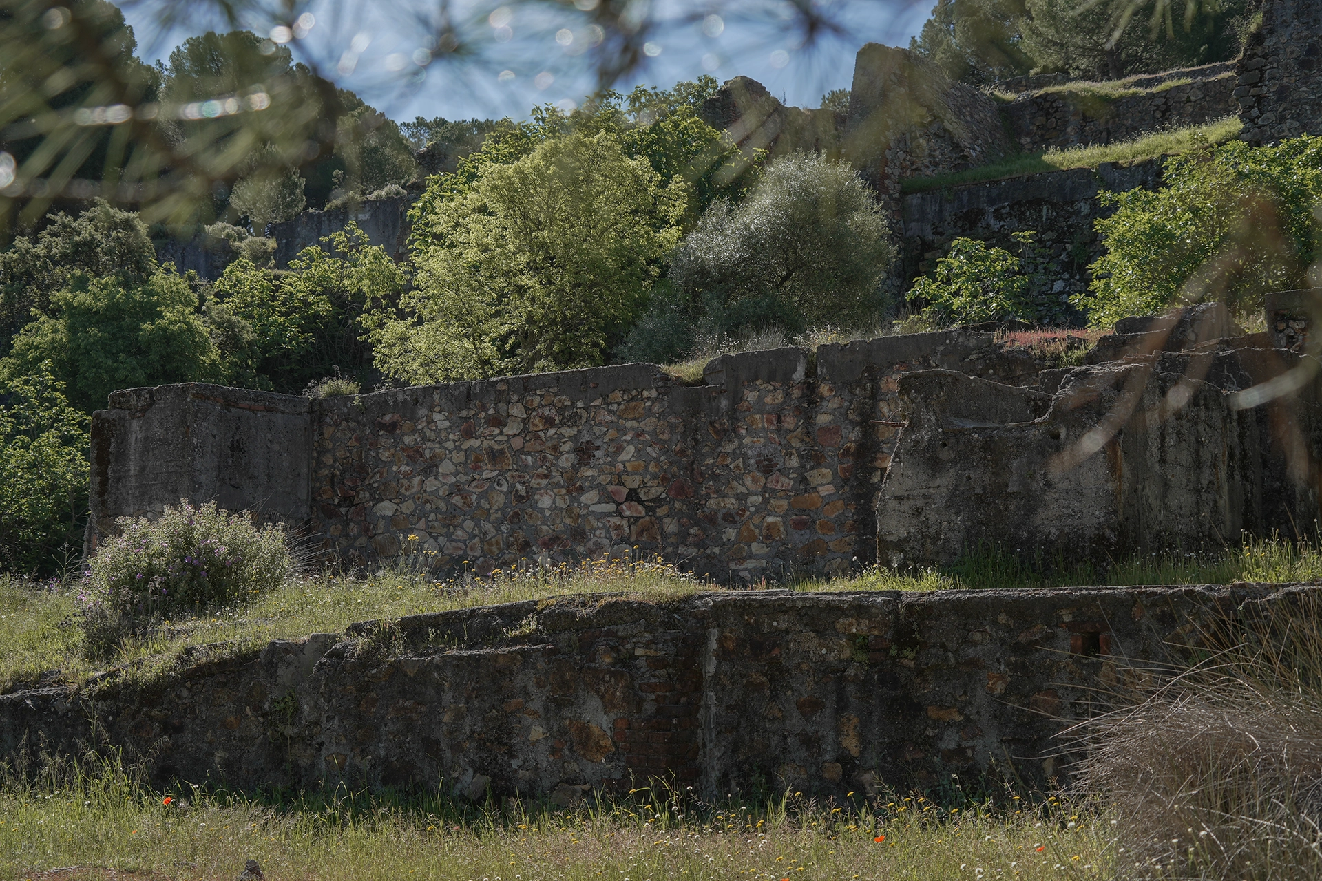 Ruinas del lavadero y depósitos de decantación