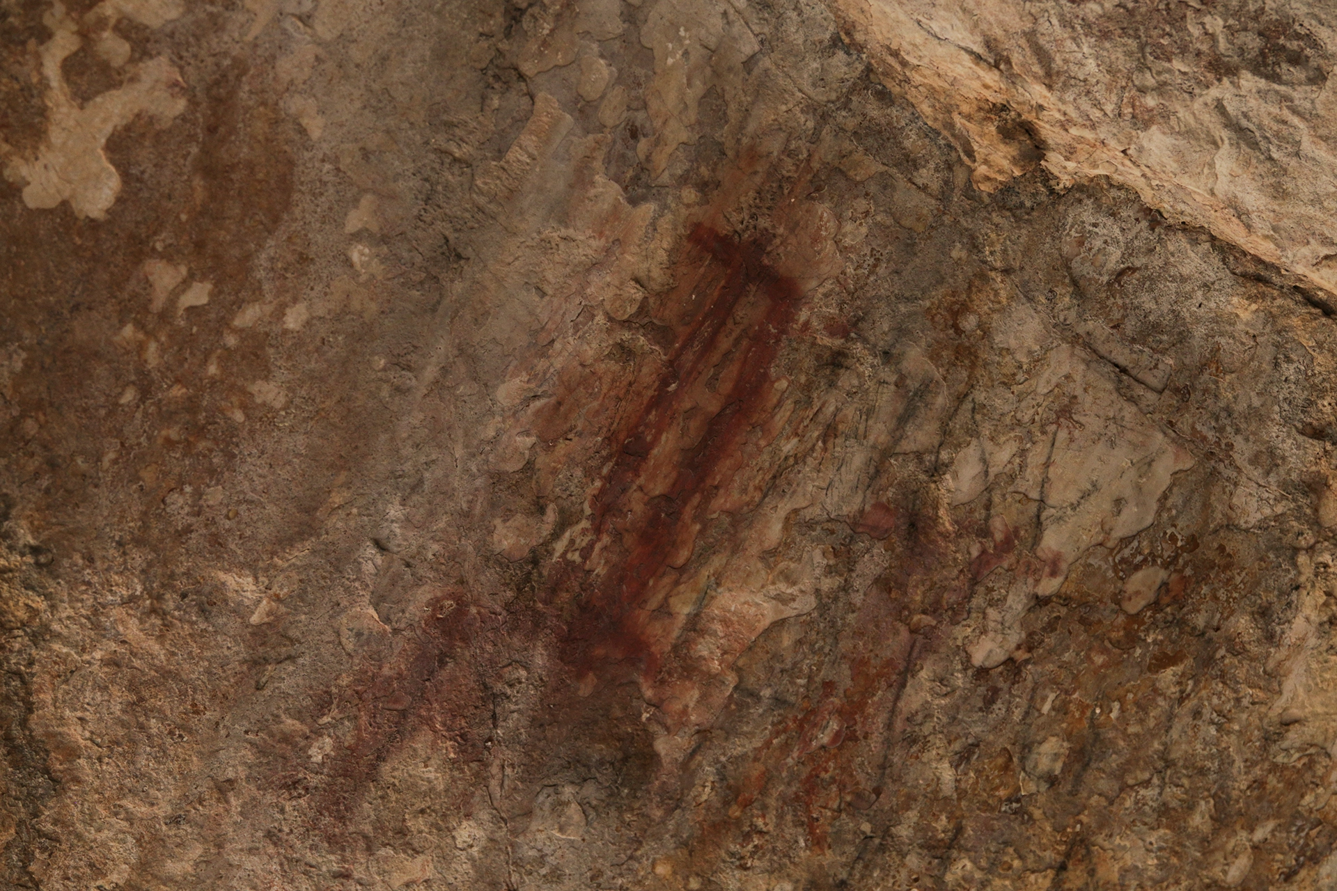 Excavaciones arqueológicas en el promontorio rocoso