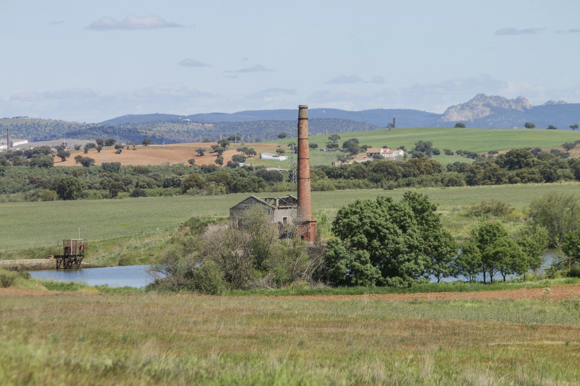 Integración del antiguo pantano industrial en la naturaleza