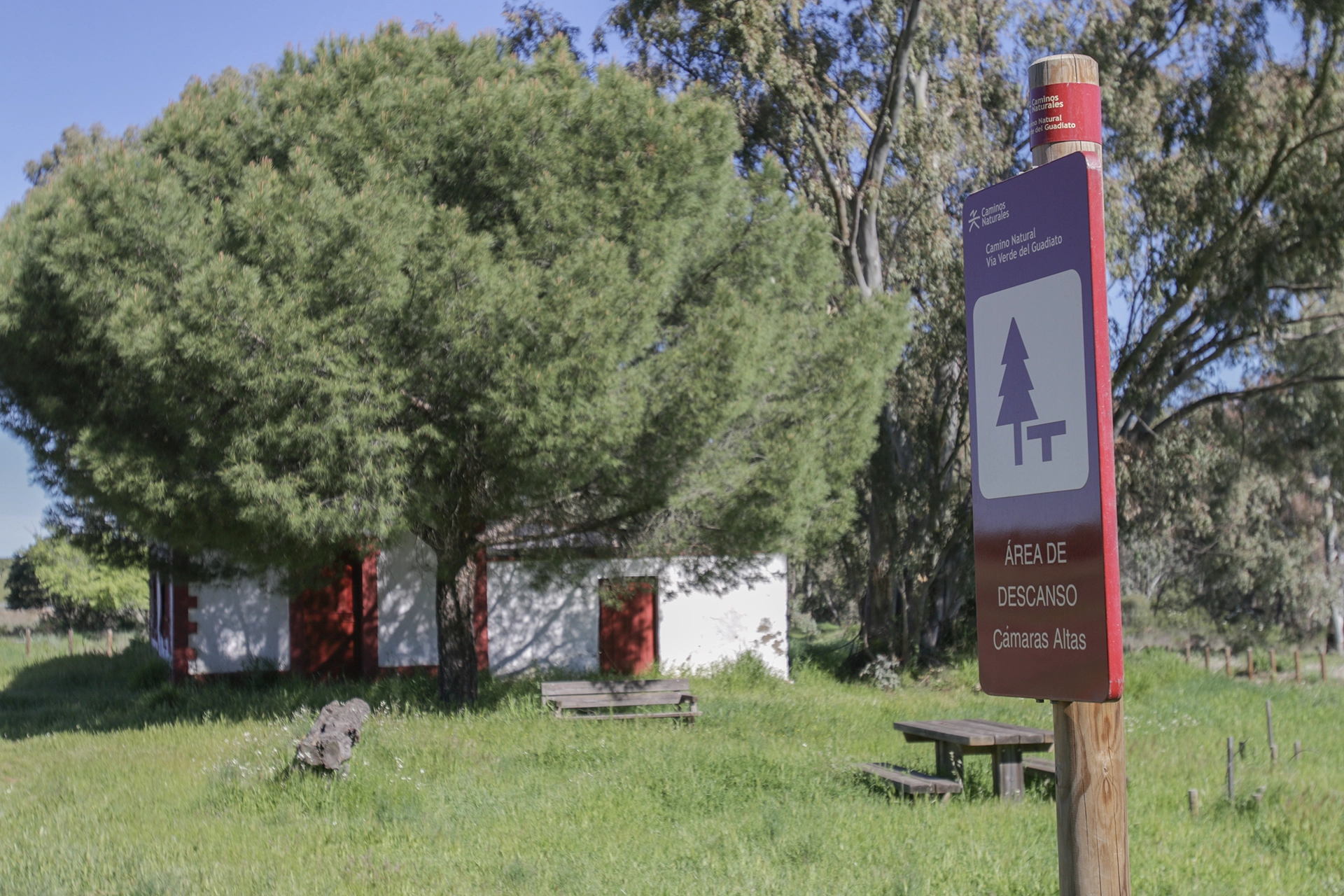 Vegetación abriéndose paso en las antiguas vías