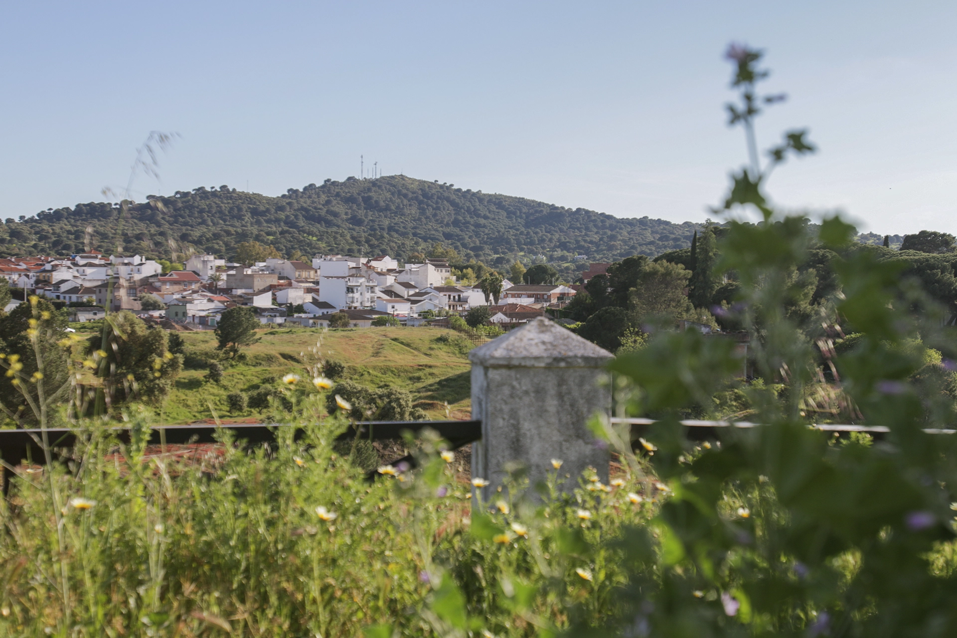 Pozo de Levante y estructuras contemporáneas