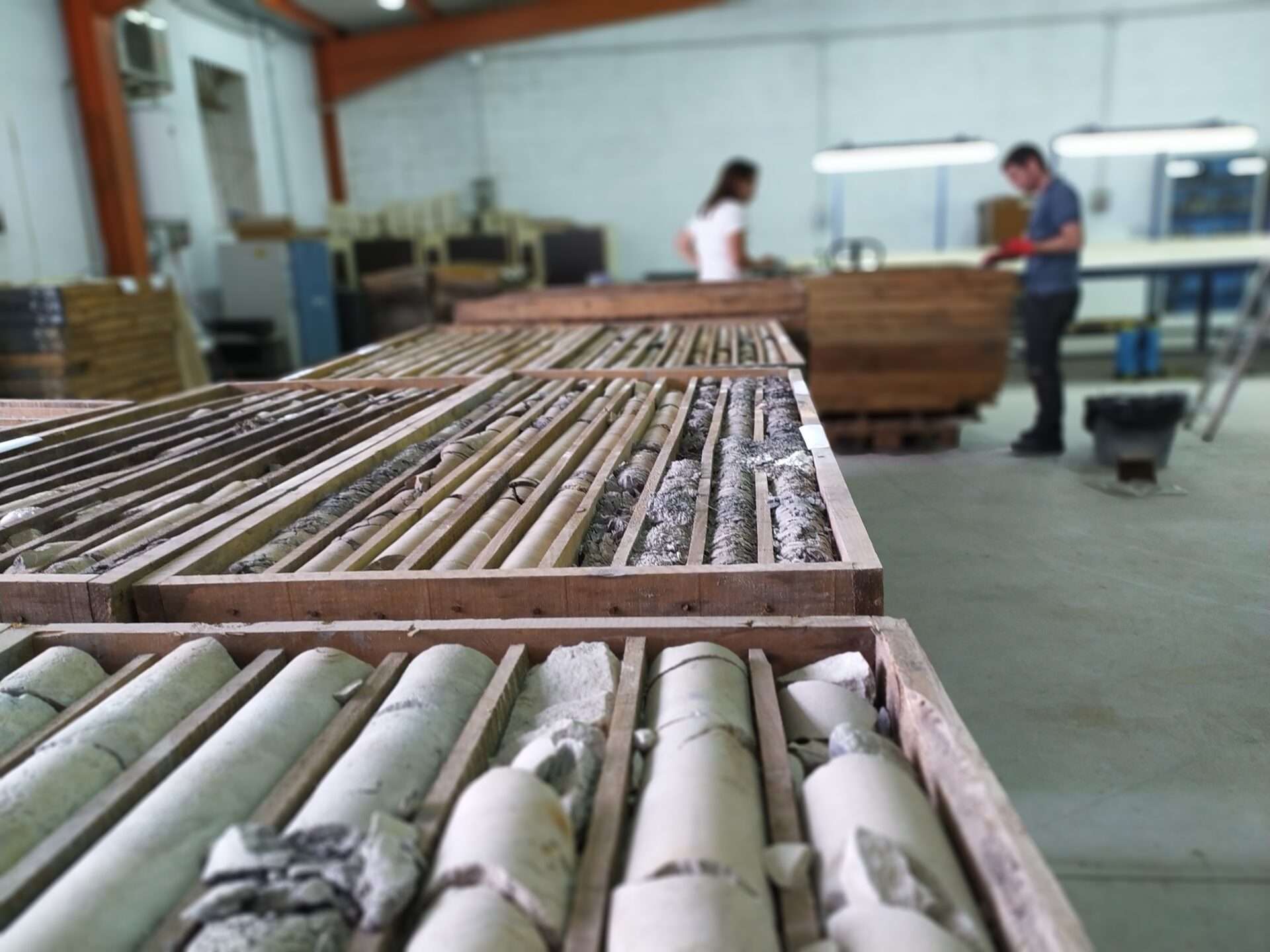 Cajas y muestrarios geológicos clasificados